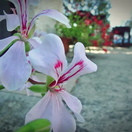 Holiday home Holiday Kirigjija *