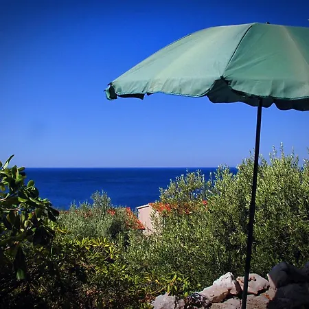 Holiday Kirigjija Holiday home Gornji Dingac